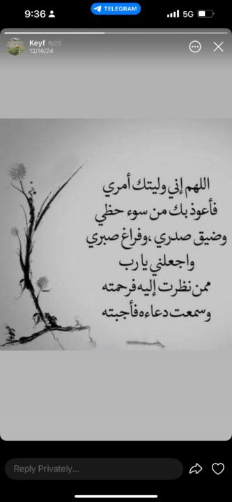 Najah Mustafe Ibrahim