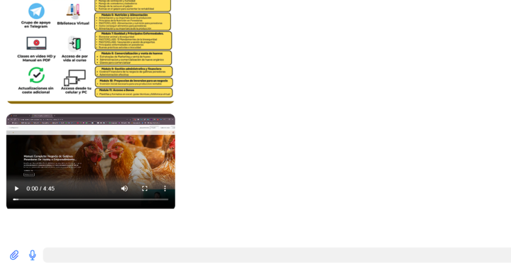 Problemas para enviar mensaje despues de enviar un video en el flujo