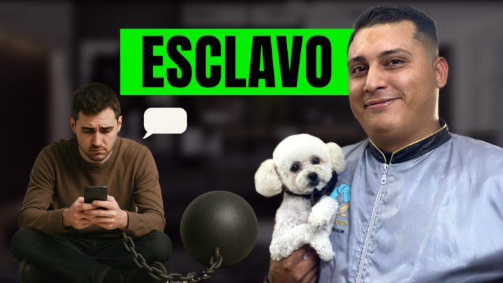 Mi bot es un ESCLAVO ⛓️🔨 - Hace el 90% del trabajo en WHATSAPP 🟢