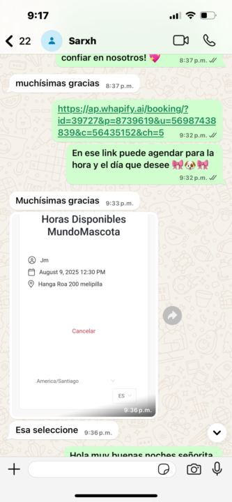 Consulta 