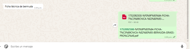 Subí un archivo pdf para que envié repuesta con un disparador es una ficha técnica pero cuando de envía sale en nombre con puro signo y símbolo