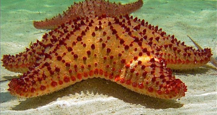 Boondocks to the Barrier Reef