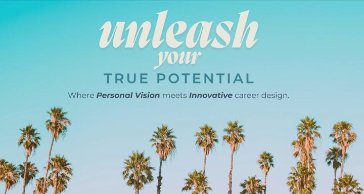 Visionary Career Reset