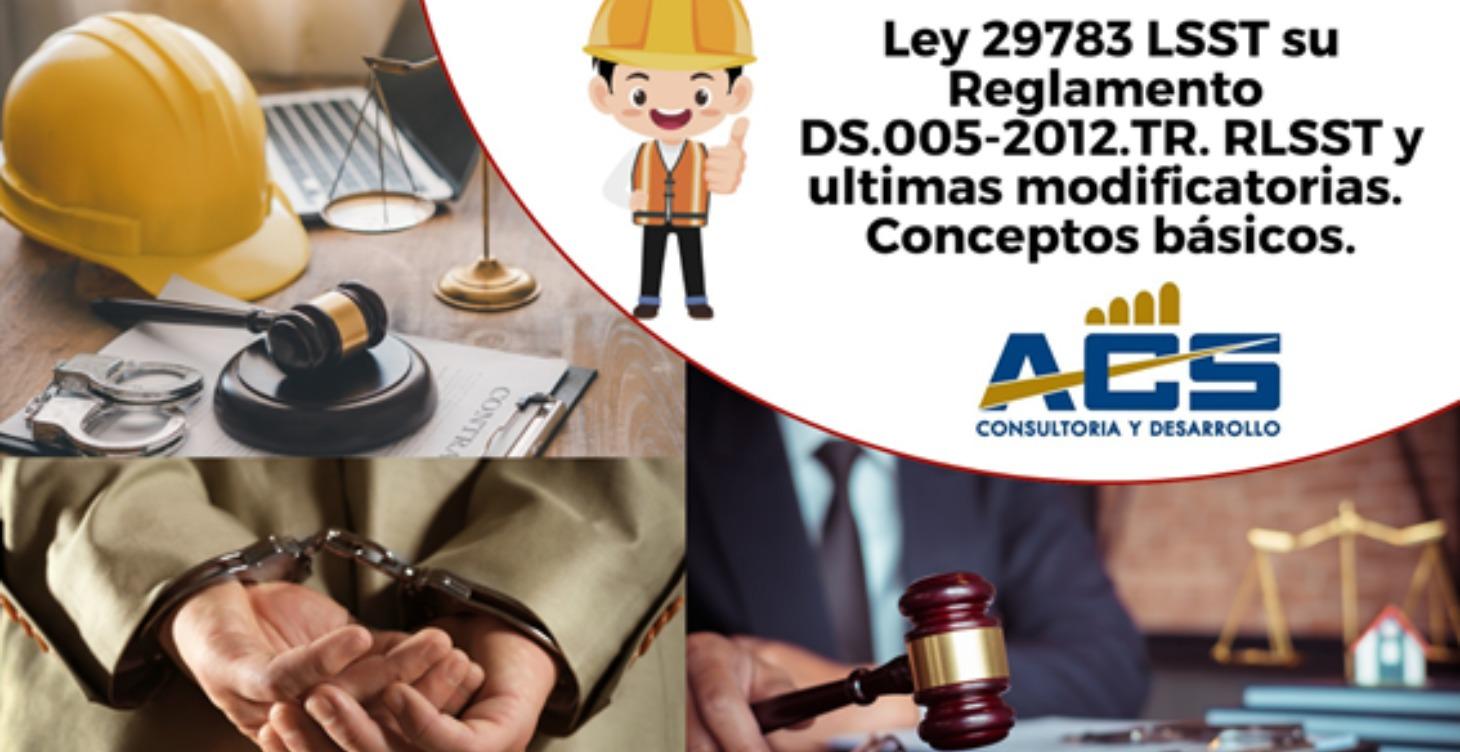INTERPRETACION DE LA LEY 29783 LSST Y RLSST