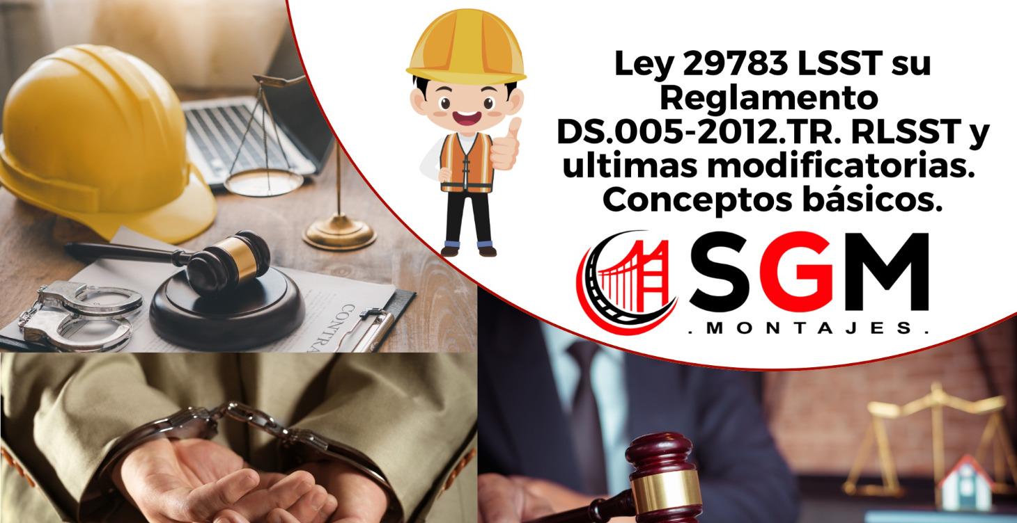 INTERPRETACION DE LA LEY 29783 LSST Y RLSST