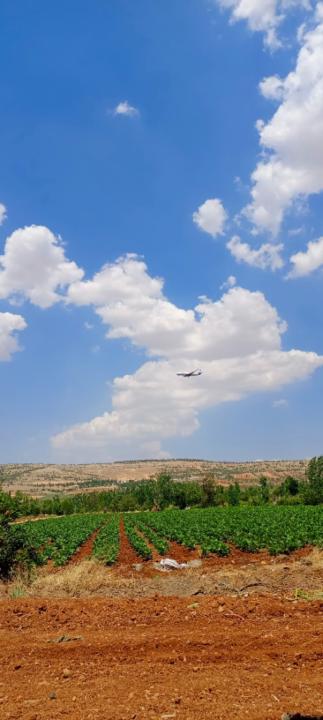 Eda Nur Kara