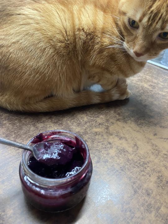 Mermelada de arándanos ( segundo intento ) esta ha quedado brutal !!!!😃👏