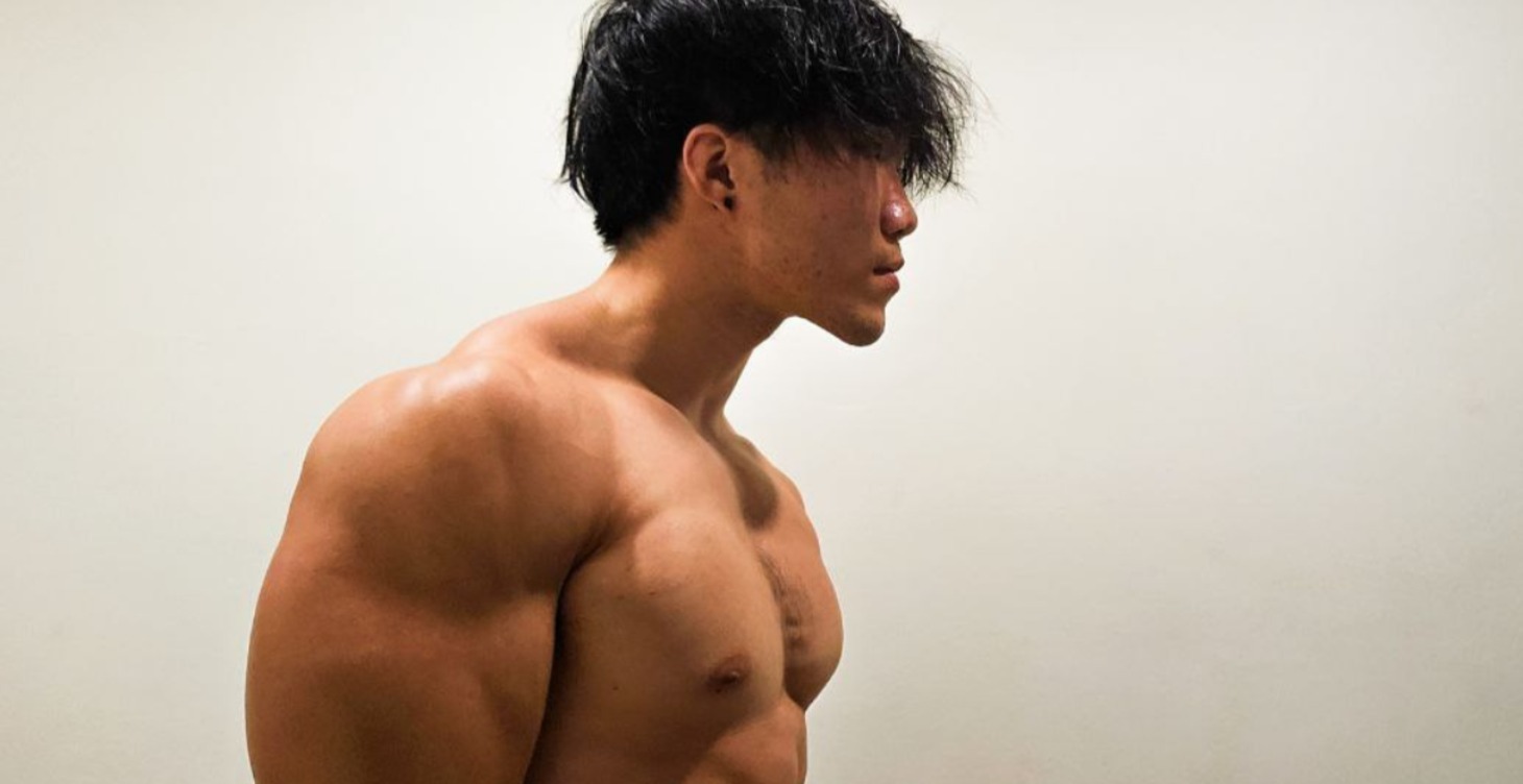 Muscle Building Programme