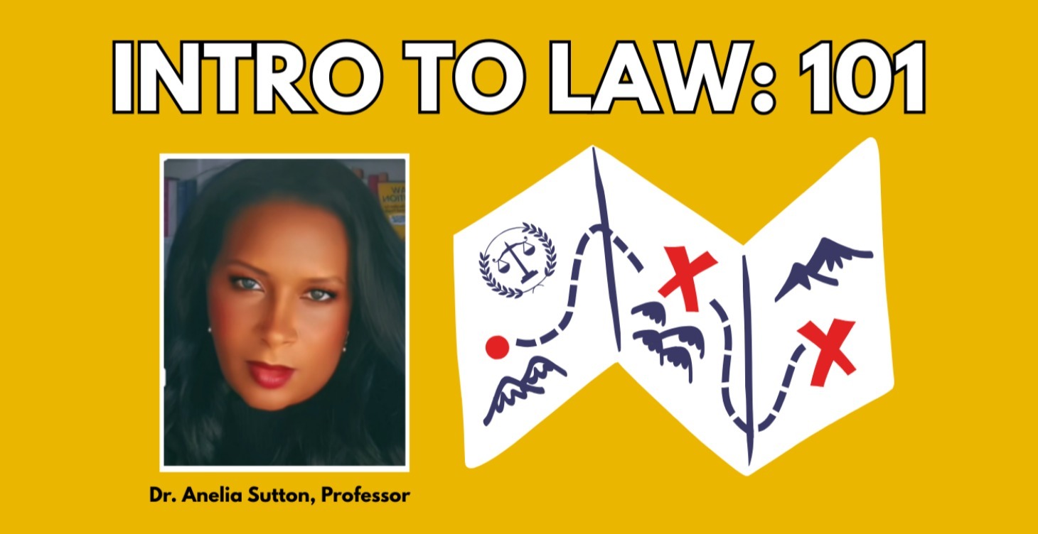 INTRO TO LAW: 101
