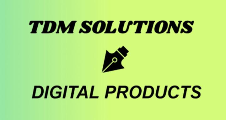 TDM SOLUTIONS LLC
