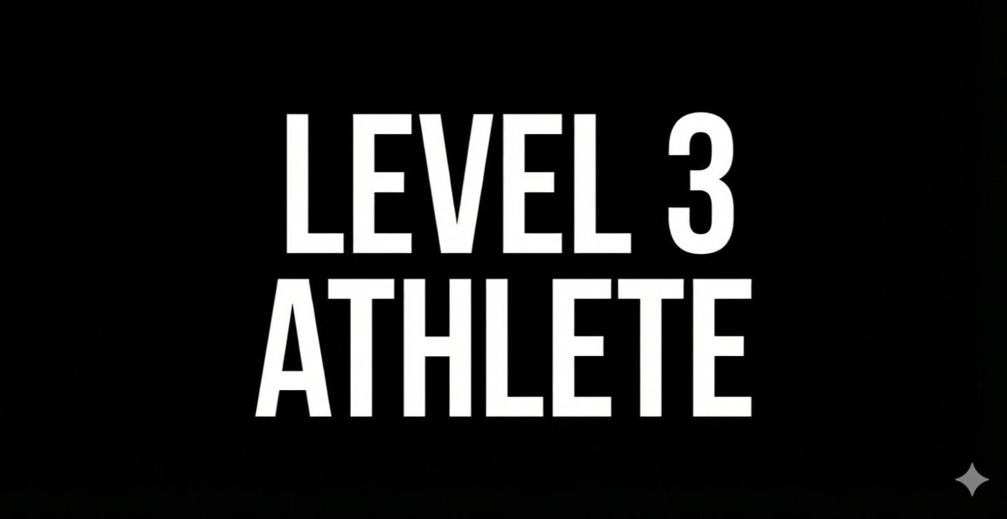 LEVEL 3 — Audience Growth & Engagement