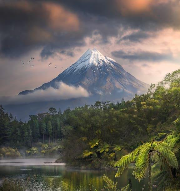 The Collective Rootz