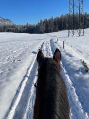 Isabella Schatzlmair