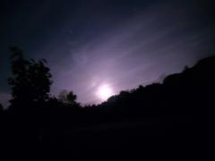 Isabella Schabelreiter-Pugl