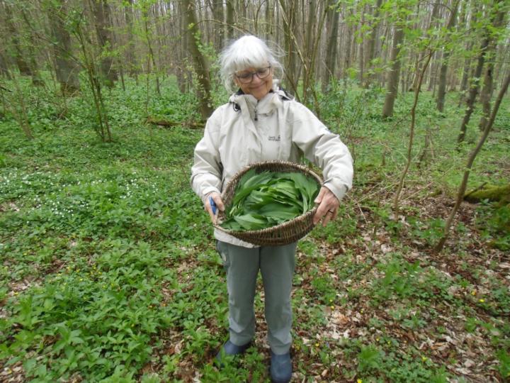 Irene Freimuth