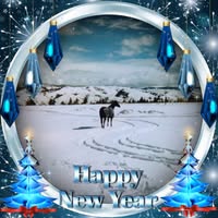 Carol Anne McRoberts