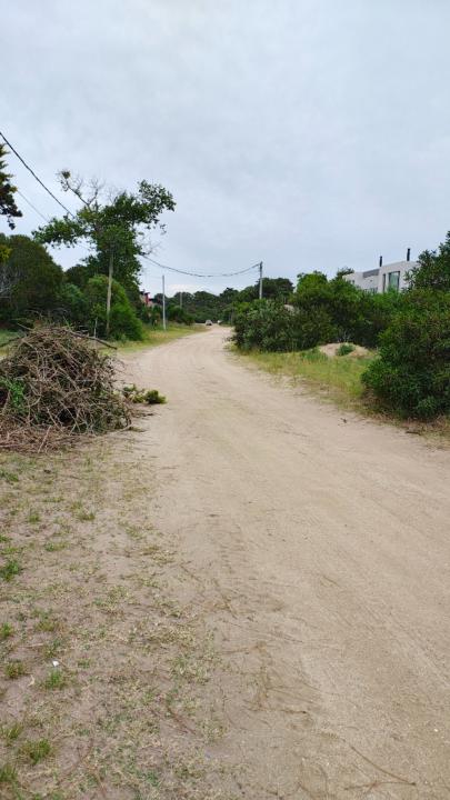 Dolores Dasso Suffern