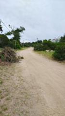 Dolores Dasso Suffern