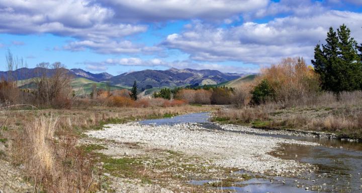 Simple, Practical Photography