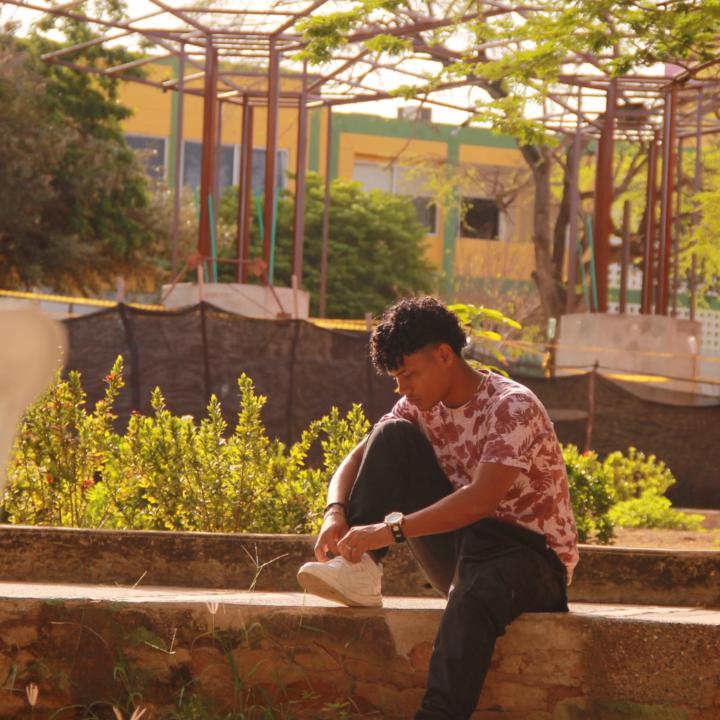 David josue Pineres ortiz