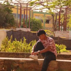 David josue Pineres ortiz