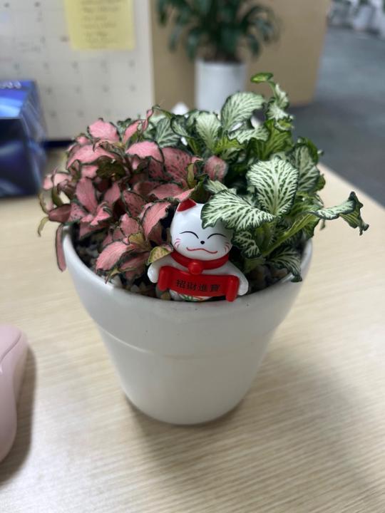 Nga Đoàn Thị Hồng