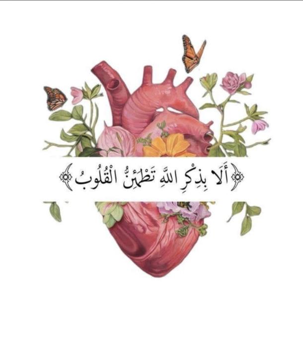Entsar Abd elkader
