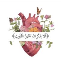 Entsar Abd elkader