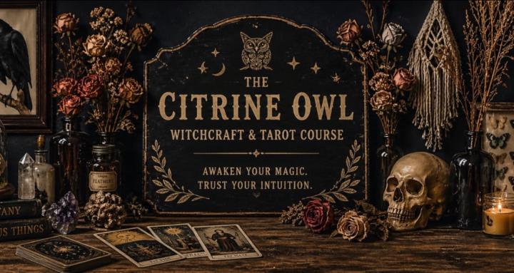 The Citrine Owl