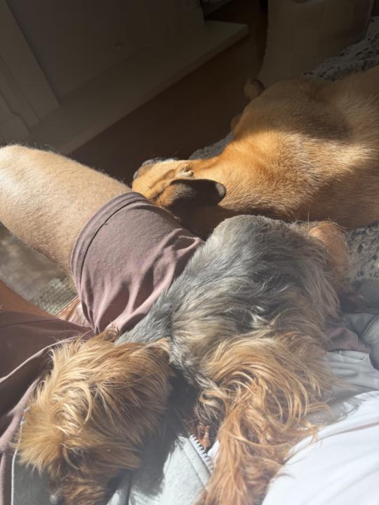 Weekend Plans