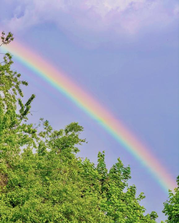 Gay sky