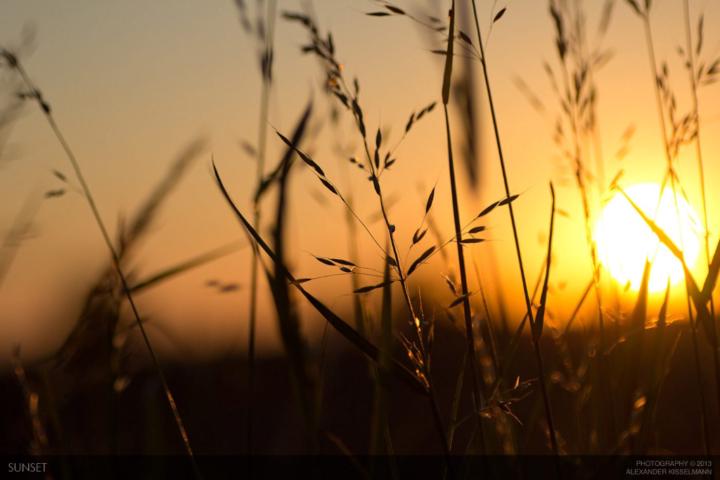 Sigurður Þórðarson