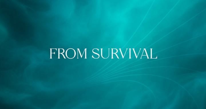 From Survival Income Dojo