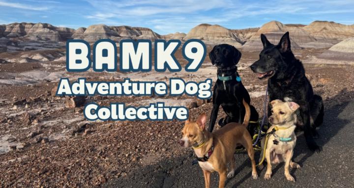 BAMK9 Adventure Collective