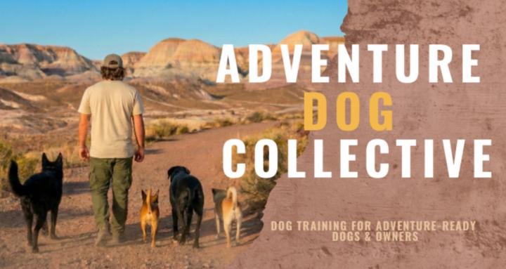 Adventure Dog  Collective