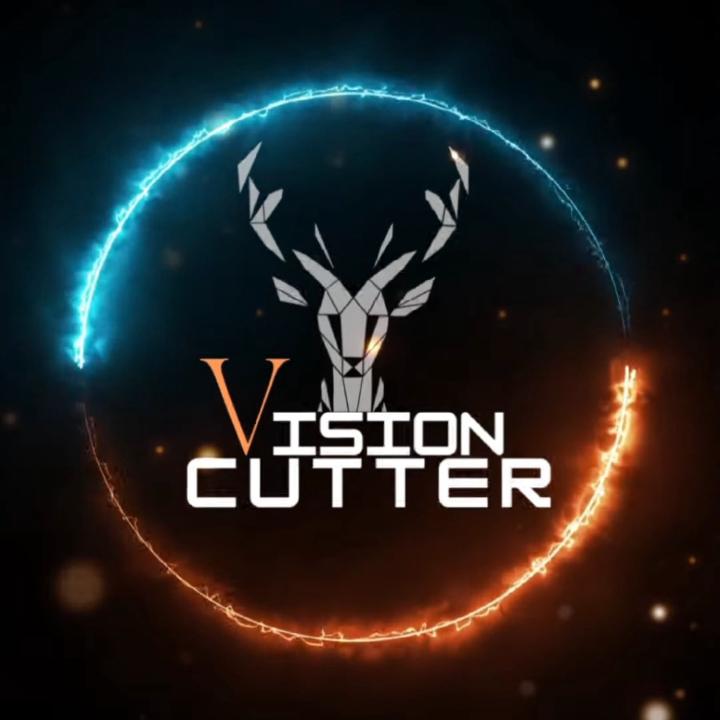 Vision Cutter