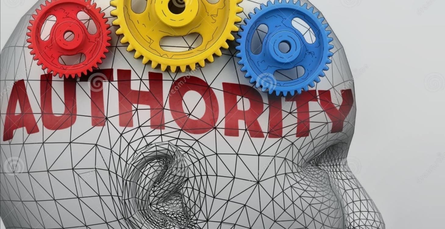 Module 1: The Authority Mindset & Topic Selection