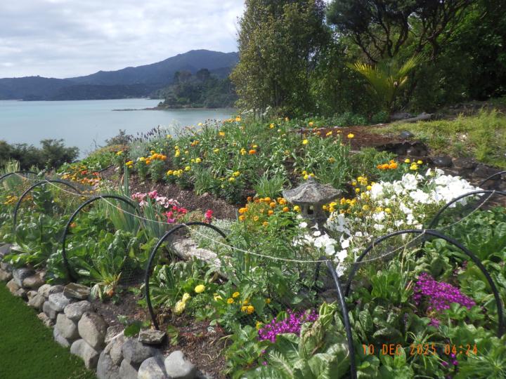 Weiter gehts, wir wechseln zum Fahrenden Volk...