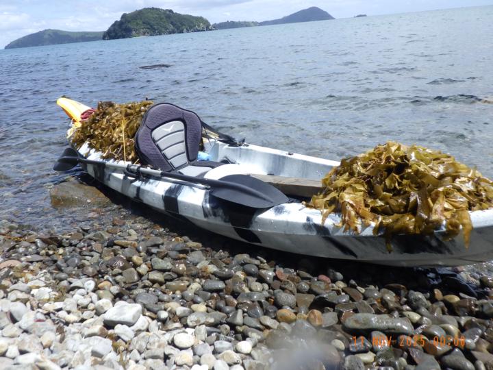 Herzlich willkommen beim Gartenmentor 