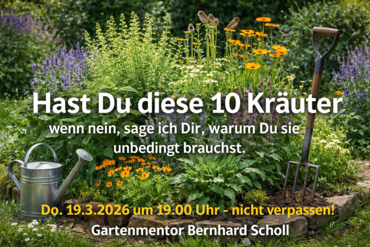 Community-Abend - für Alle