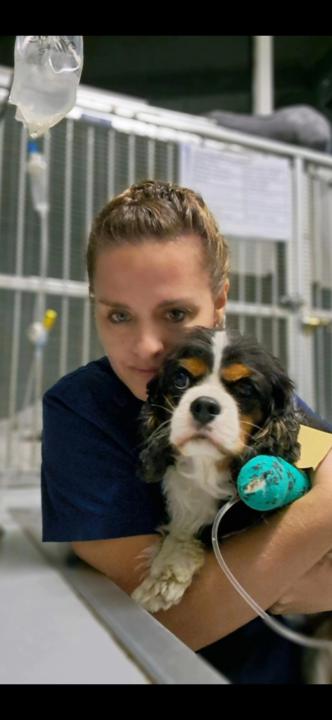 Carina Naude Stroebel