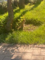 Aya El Filali Karrabe