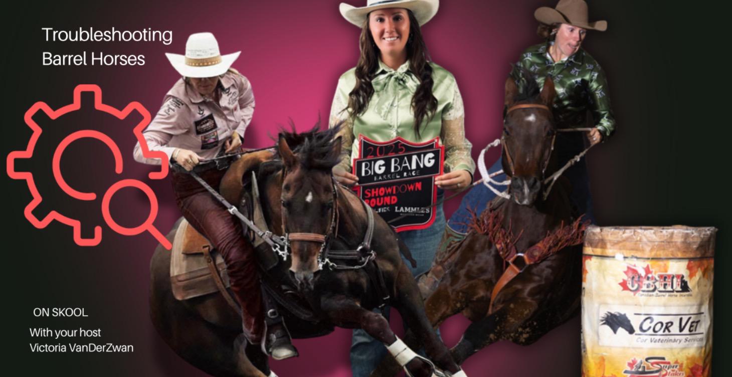 Tack Talk - What does your saddle say about you?