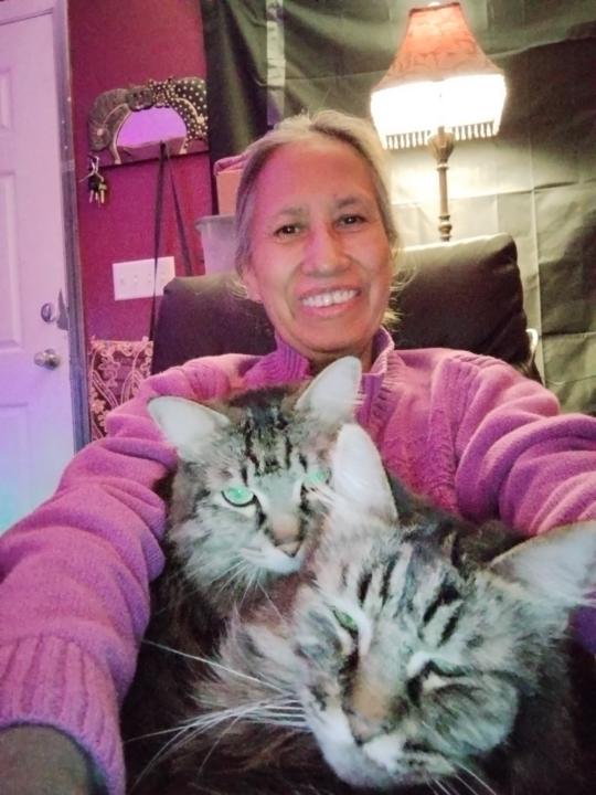 Cat Whipple