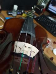 Verónica Gutiérrez Coronado