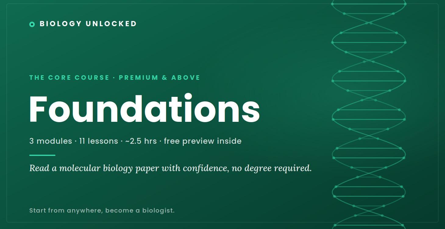Foundations