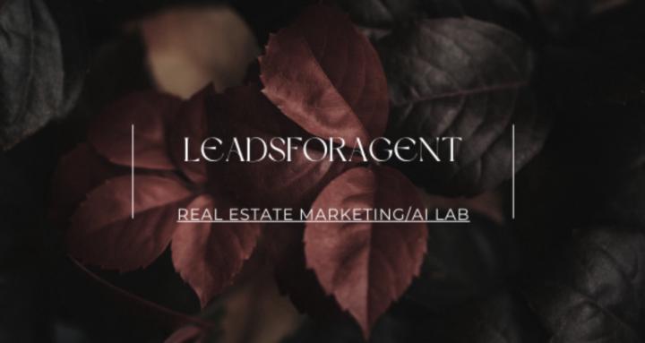Real Estate Marketing/AI Lab 