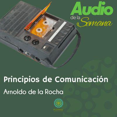 Audio de la Semana