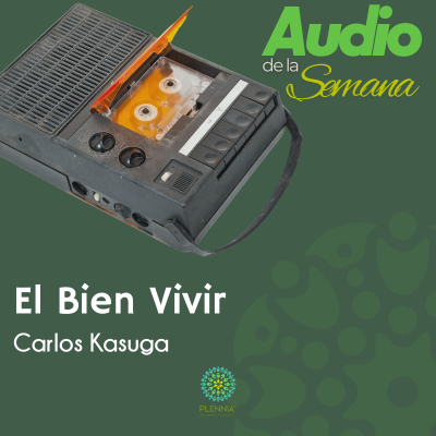 Audio de la semana