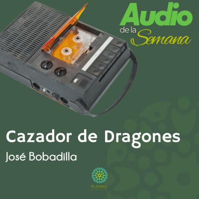 Audio de la Semana